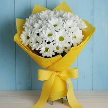 Букет цветов из:  Хризантемы в Горном Забайкальского края
