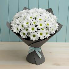 Букет цветов из:  Хризантемы в Горном Забайкальского края