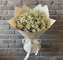 Букет цветов из:  Ромашки в Горном Забайкальского края