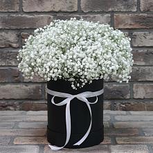 Цветочная композиция из Гипсофила в шляпной коробке в Горном Забайкальского края