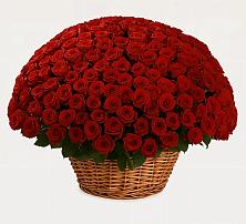 Премиум букет из: Розы в Горном Забайкальского края